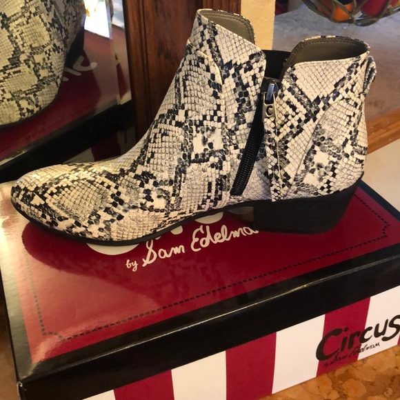 Circus Sam Edelman Pipper Ivory Snake print Boots - Picture 2 of 4